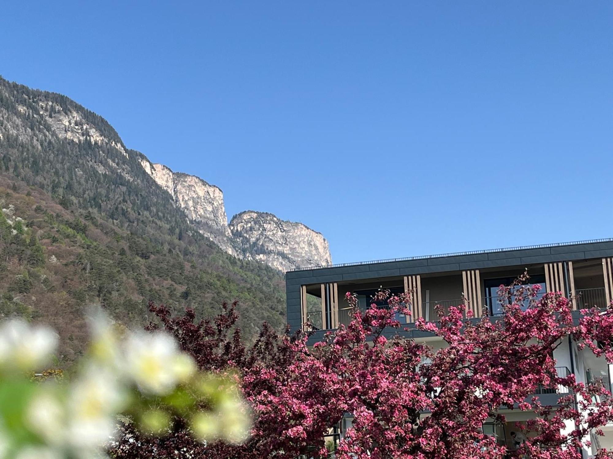 Das Matscher Residence & Garden Hotel アッピアーノ・スッラ・ストラーダ・デル・ヴィーノ エクステリア 写真
